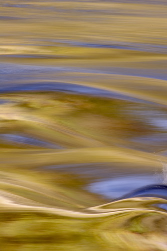 Textures;Shapes;Patterns;Abstractions;Abstract;Reflections;Reflection;Plant;Trunk;Bark;Leafy;Branches;Branch;Woodland;Herbaceous;Shrub;Bush;Trees;Tree Trunk;Brook;Creek;Rivulet;Streamlet;Stream;Rivers;River;Riverbed;Water;Flowing;waterway;stream;creek;brook